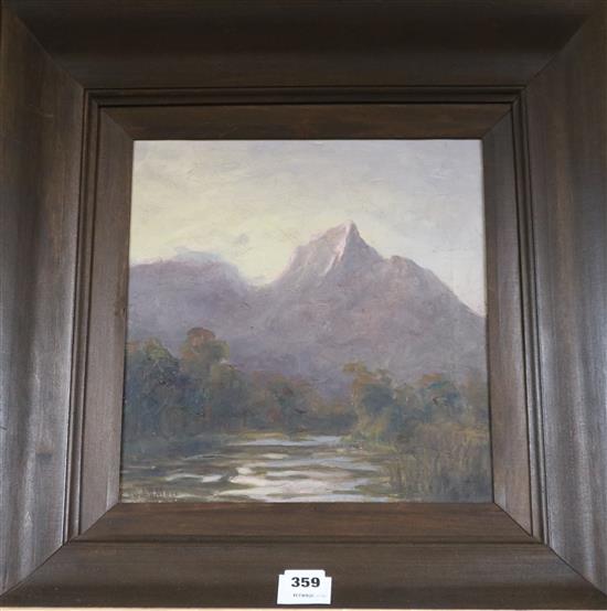 Edward Clark Churchill Mace (1864-1928), oil on canvas, South African landscape, signed, 32 x 30cm